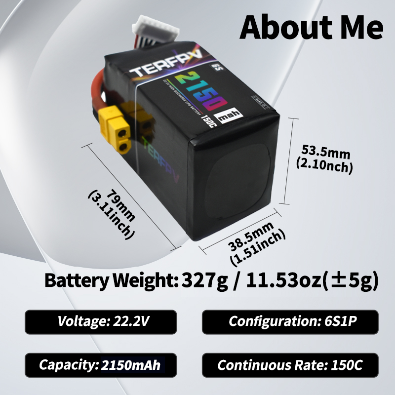 TERFPV Lipo Battery 6S 22.2V 1 - Drone Rcs ulasan dan harga